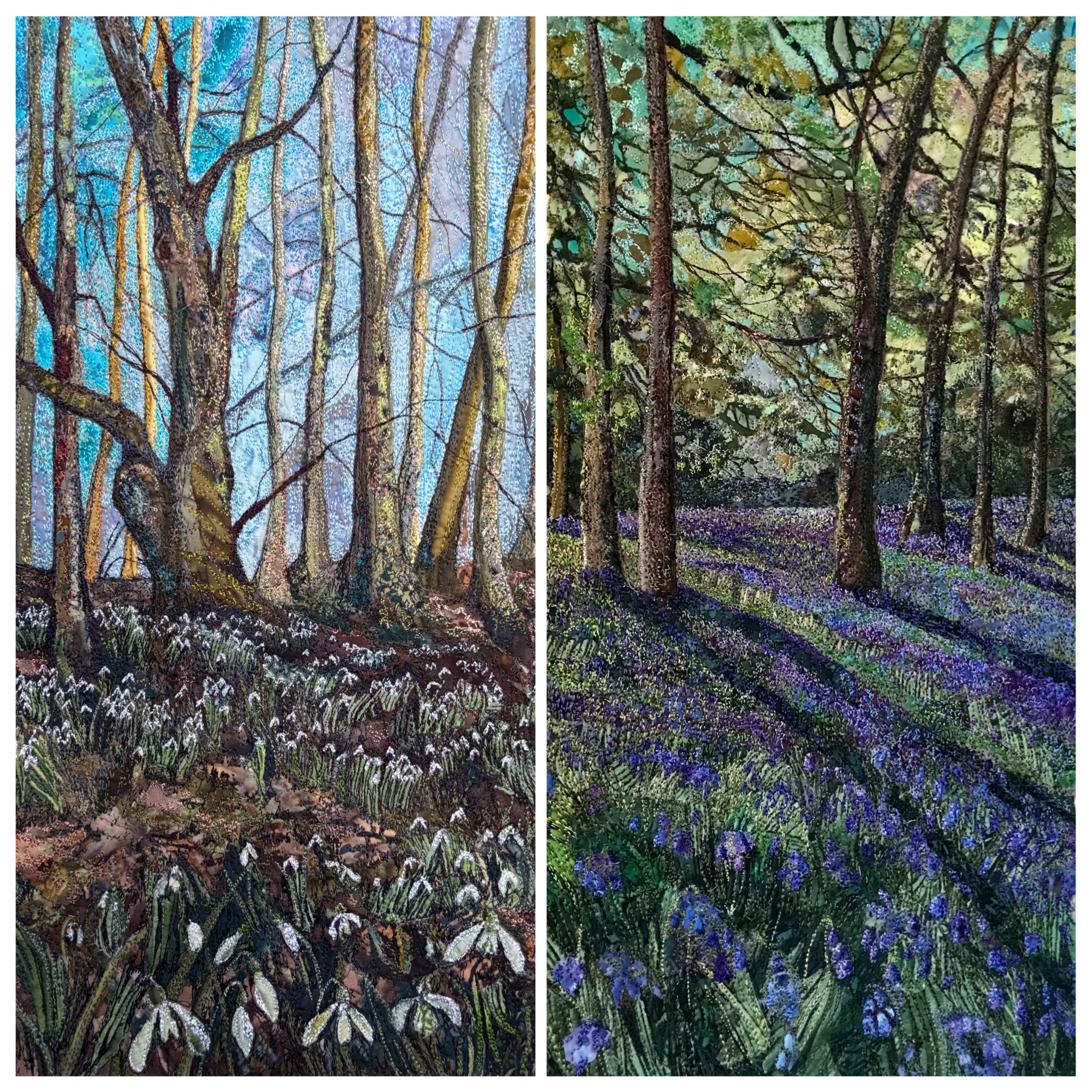 Woodland scenes